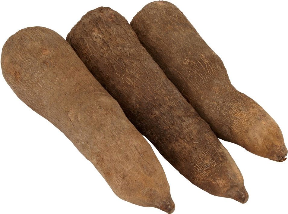 Premium Yams